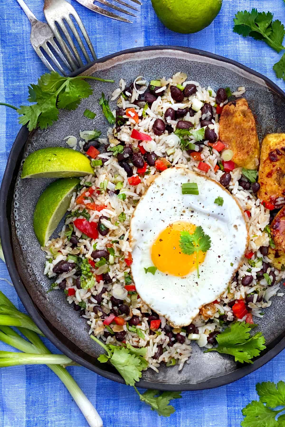 Gallo Pinto: Costa Rican Rice and Beans Breakfast l Panning The Globe