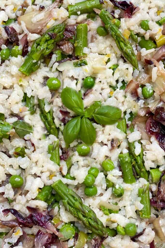 Mediterranean Rice Salad Recipe l Panning The Globe